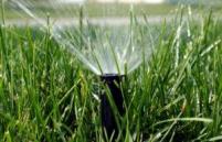 a close-up with a sprinkler head in summer