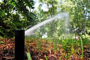  an irrigation system installed by our Miami Lakes sprinkler repair pros